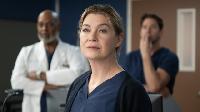 Greys Anatomy